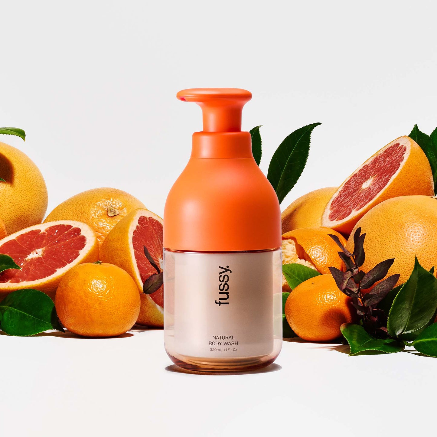 Wide Eyed Starter Pack