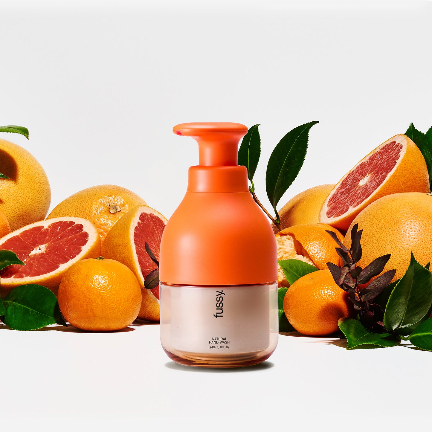 Wide Eyed Starter Pack