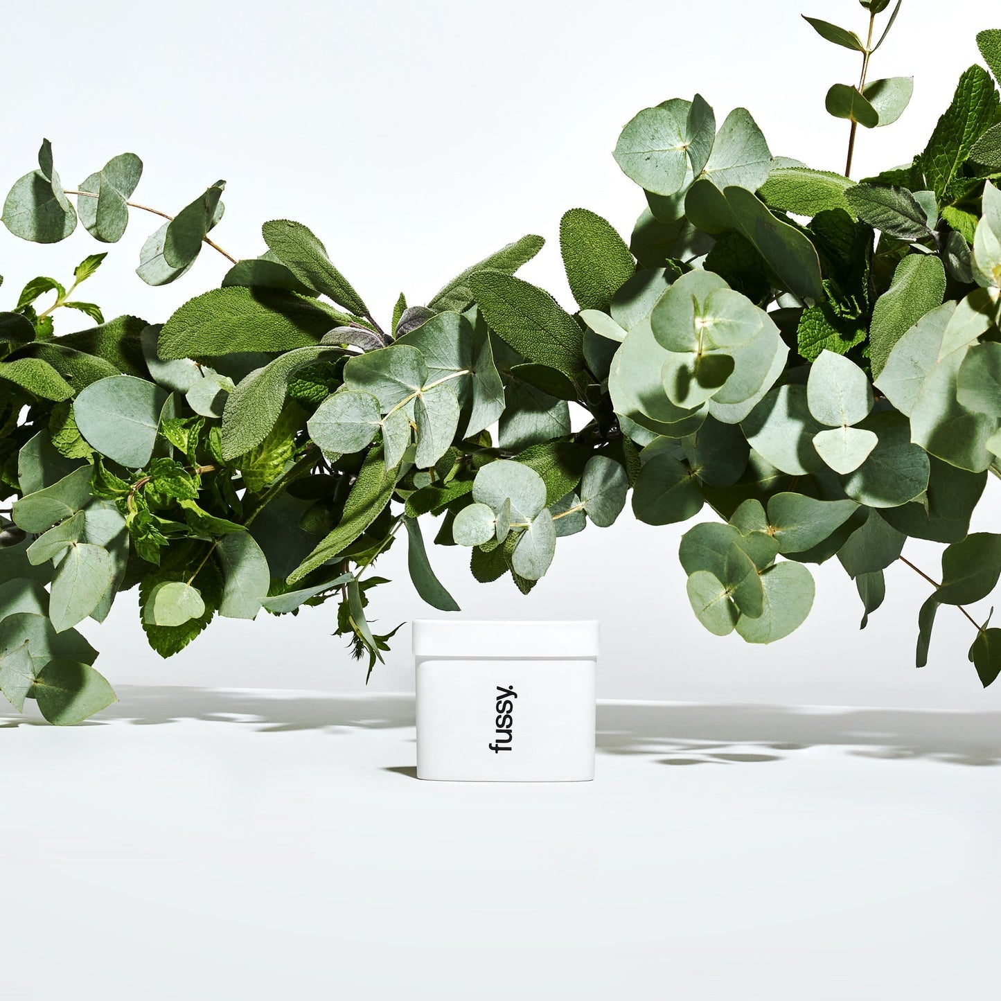 Fussy's Wavy Days natural deodorant refill pack set against a background of eucalyptus, sage and mint leaves.